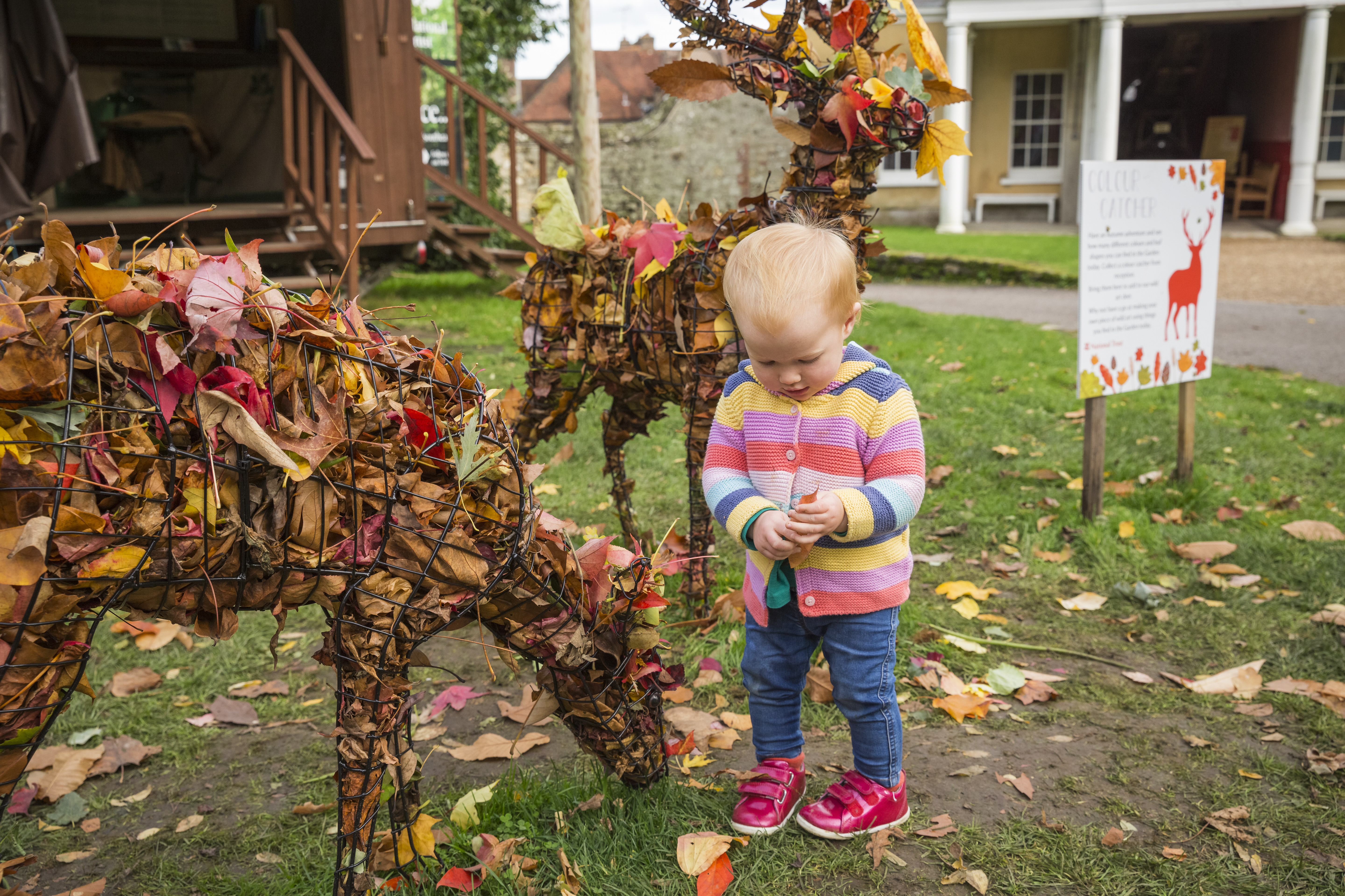 Photo of Little Antlers at Petworth House