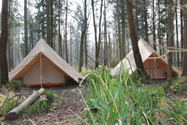 Photo of Camp Wilderness – Boughton Woods - 3 Day Camp