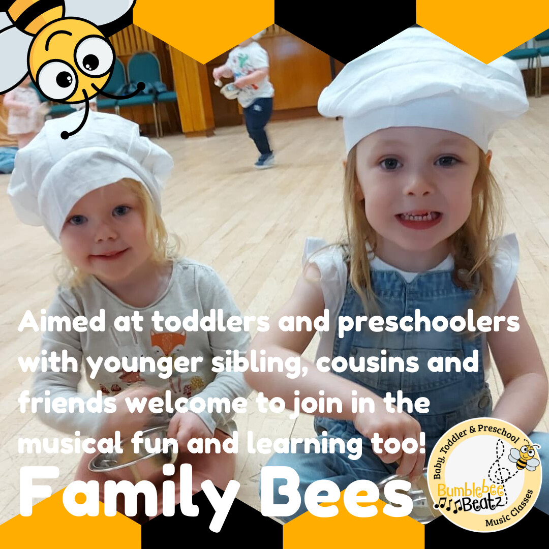Bumblebee Beatz (Family Bees) –Wednesdays in  Houghton-le-Spring
