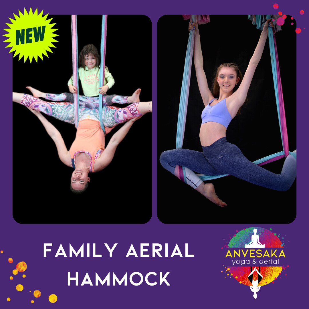 Family Aerial Hammock (Stockton on Tees)