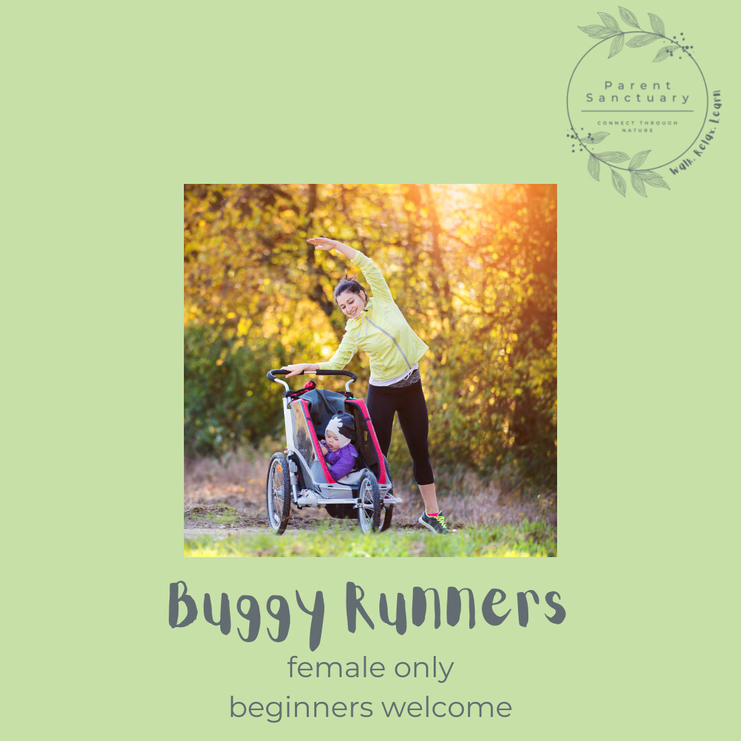Buggy Runners
