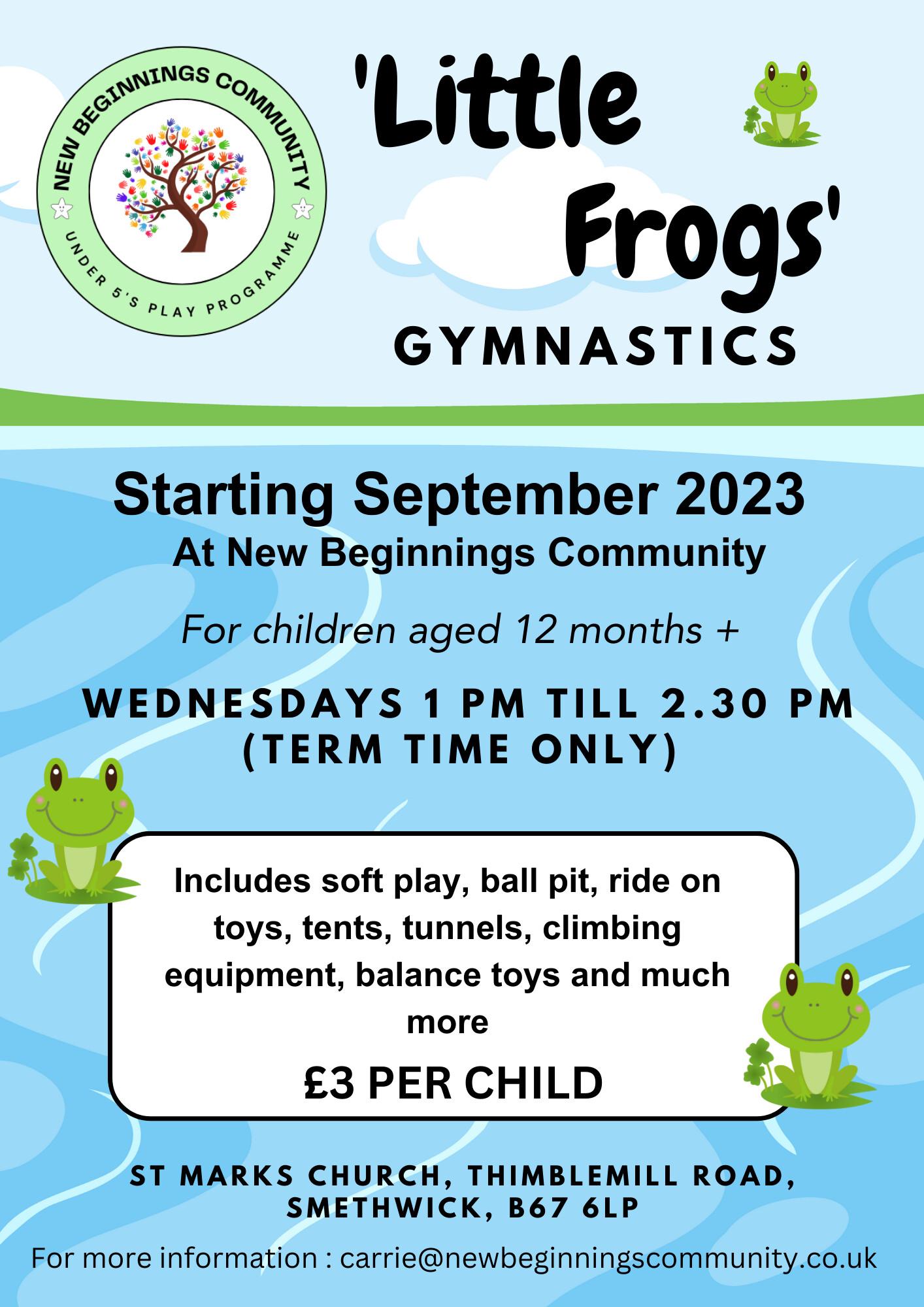 Little Frogs Gymnastics