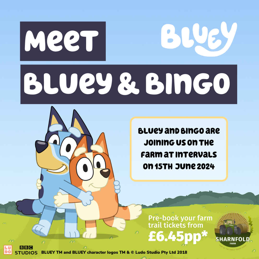 Meet Bluey & Bingo at Sharnfold Farm