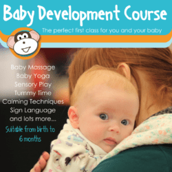 Photo of Baby Development Course (Fridays)