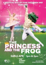 Photo of The Princess & The Frog