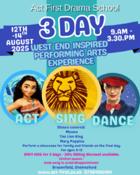 Photo of 3 Day Performing Arts Summer Workshop 