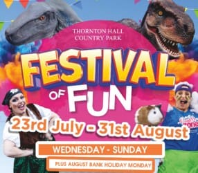 Photo of Festival of Fun, Summer Holidays at Thornton Hall Farm