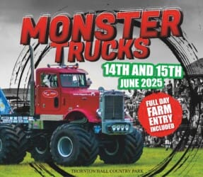 Photo of Monster Trucks