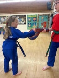 Photo of Little Ninjas Martial Arts Warminster