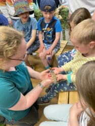 Photo of Brambles Animal Encounters