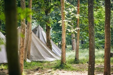 Photo of Camp Wilderness – Castle Howard – 3 Day Camp